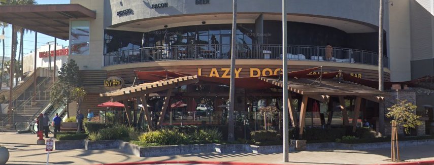Lazy Dog restaurant and bar entrance photo google maps